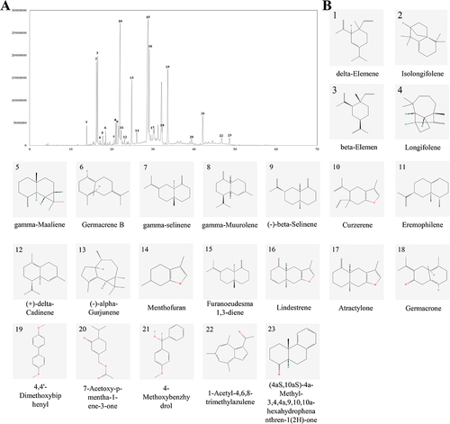 Figure 1 GC-MS chromatogram of MEO and the structure of its components. (A) Total ion flow map of MEO. (B) Structures of 23 components in MEO.