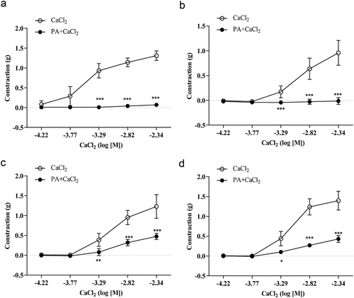 Figure 3. Effects of PA on calcium-induced vasoconstriction. Sustained contractile responses of 0.09 ± 0.02 g were induced by 60 mM KCl in intact thoracic aorta rings in K-H solution without Ca2+, and then CaCl2 (6.00 × 10−5 to 4.55 × 10−3 M) was cumulatively applied every 5 min. (A) Effect of PA on the cumulative contraction induced by influx of extracellular Ca2+ in intact thoracic aorta rings pre-contracted with KCl; (B) Effect of PA on contraction of endothelium-denuded aortic rings; (C) Effect of PA on the cumulative-contraction induced by influx of extracellular Ca2+ in intact thoracic aorta rings pre-contracted with PE; (D) Effect of PA on the cumulative-contraction induced by influx of extracellular Ca2+ in intact endothelium-denuded aorta rings pre-contracted with PE. Values are expressed as mean ± SD. *p < 0.05, **p < 0.01, ***p < 0.001 vs the Cacl2 alone group.