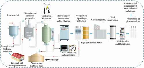 Figure 4. The flowchart of life cycle assessment (LCA) of pharmaceuticals bioproducts produced by bioengineered tools.