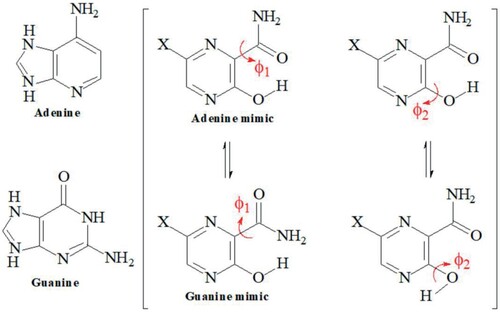 Figure 2. Rotational isomers of favipiravir and its structural analogues.