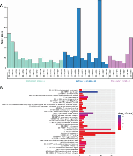 Figure S3 GO enrichment analysis of the potential prognostic genes in hepatocellular carcinoma.Notes: (A) The GO analysis divided potential prognostic genes into three functional groups: the biological process, cell composition, and molecular function groups. (B) Significant GO enrichment items relating to the potential prognostic genes in the different functional groups.Abbreviation: GO, Gene Ontology.