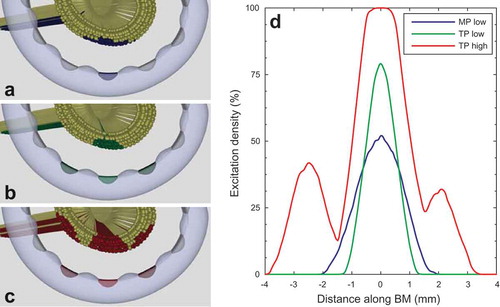 Figure 7. Illustration of excitation patterns and excitation density plots from Kalkman et al. (Citation2015). Figures a–c show neural excitation patterns in auditory neurons with degenerated peripheral processes for three different situations: (a) monopolar stimulation at low amplitude, (b) tripolar stimulation at low amplitude, exciting the same number of neurons as the monopolar stimulus above, and (c) tripolar stimulation at high amplitude. Blue, green, and red fibers in Figures a, b, and c indicate excited neurons. In Figure d, the corresponding excitation density curves are plotted, which show the percentage of neurons that are being excited along the cochlea. The blue curve corresponds to the monopolar excitation pattern shown in Figure a, the green curve to the low amplitude tripolar excitation pattern shown in Figure b, and the red curve corresponds to the excitation pattern generated by high-amplitude tripolar stimulation shown in Figure c. Comparing Figures a and b and their curves in Figure d, it is clear that tripolar stimulation excites neurons in a more spatially restricted pattern than monopolar stimulation does with the same number of excited neurons. In Figure c and the red curve in Figure d, the excitation pattern produced by a high-amplitude tripolar stimulus reveals the presence of side lobes on either side of the main excitation region, close to the flanking contacts.