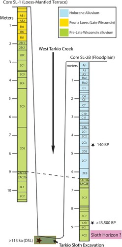 FIGURE 5. Generalized stratigraphy of cores drilled on either side of West Tarkio Creek, Tarkio Valley Megalonyx locality. Core SL-1 was drilled on the eastern loess-mantled terrace and did not penetrate to the level of the sloth-associated deposits. Core SL-2B was drilled on the West Tarkio floodplain and penetrated deposits likely correlative with the sloth-bearing alluvium in the creek bed excavation. Dashed line connecting stratigraphy in the two cores is inferred correlation of buried soil horizon. Radiocarbon and OSL ages are discussed in the text.