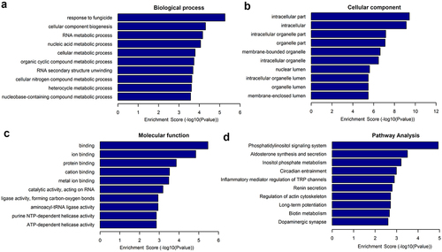 Figure 3. Enrichment of differentially expressed lncRNAs in GO terms and KEGG pathways. GO terms: (a) Biological processes, (b) cellular components, and (c) molecular functions. (d) KEGG pathways.