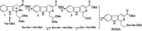 Scheme 1 Synthetic route of BCESA. (i) TFA, 1,1,3,3-tetramethoxypropane, CH2Cl2; (ii) KMnO4, THF; (iii) HCl, HOAc, H2O; (iv) DCC, HOBt, NMM; (v) hydrogen chloride in EtOAc (4 M); (vi) NaBH3CN, MeOH, NaOH.Abbreviations: BCESA, N-[(3-Benzyloxycarbonyl-β-carboline-1-yl)ethyl]-Ser-Ala-OBzl; DCC, dicyclohexylcarbodiimide; HOBt, N-hydroxybenzotriazole; NMM, N-methylmorpholine.