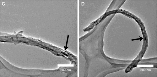 Figure S2 TEM images of typical MWCNTs (undoped) before (A and B) and after (C and D) acid treatment.Notes: Most of the metallic nanoparticles are inside the pristine carbon nanotubes (A and B). Besides the elimination of such nanoparticles, acid treatments provoked severe damages on the MWCNTs surface (C and D). The arrows show the damage provoked by the acid treatment in the MWCNTs surface.Abbreviations: TEM, transmission electron microscopy; MWCNTs, multiwalled carbon nanotubes.