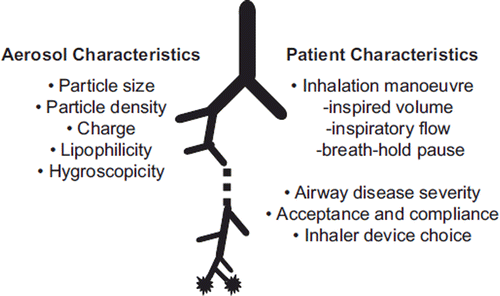 Figure 2. Properties influencing the lung deposition of medical aerosols.