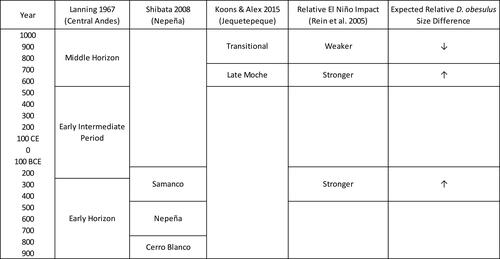 Figure 2. A comparison of chronologies for the Central Andes, the Caylán occupation, and the Huaca Colorada and Tecapa occupations alongside paleoclimate data and shell valve size expectations. Relative El Niño impact is derived from Rein et al. (Citation2005) metrics, while expected shell size is based on Carstensen (Citation2010) parameters.