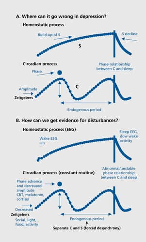 Figure 1. A. The two-process model of sleep regulation, considered in terms of what could go wrong in depression. The homeostatic component (process S) builds up during wakefulness and declines during sleep. The circadian pacemaker (process C) ticks along at its individual (genetically programmed) endogenous period. Decreased amplitude would increase variability of daily timing and it would be more vulnerable to phase shifts. If the rhythm was advanced or delayed in phase, the resultant altered phase relationships between process C and sleep timing could explain many depressive phenomena. B. Biological markers of process S and process C. The exponential rise in sleep pressure can be followed by theta-alpha (θ/α) power in the wake electroencephalogram (EEG). The exponential decline in sleep pressure is evident in slow-wave activity in the sleep EEG. In a constant routine protocol, the rhythms of core body temperature (CBT), melatonin, and Cortisol provide estimates of circadian phase and amplitude. In a forced desynchrony protocol, the endogenous period of the circadian pacemaker can be reduced as well as the relative contributions of process C and process S to any given measure, from psychological to physiological.