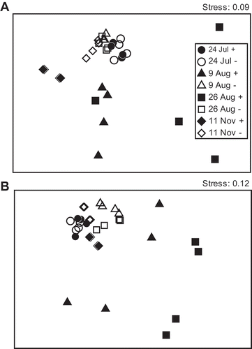 Figure 3 Non-metric multi-dimensional scaling using the Bray–Curtis similarity of the denaturing gradient gel electrophoresis (DGGE) banding patterns of polymerase chain reaction (PCR)-amplified ciliate 18S rRNA genes of soil fertilized with (A) commercial organic fertilizer and (B) liquid fertilizer from shochu waste. +, with solarization; –, without solarization.