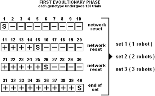 Figure 3. First evolutionary phase. Each genotype is evaluated for 120 trials. That is, 40 trials in the single robot case (i.e., first set), 40 trials in the two robots case (i.e. second set), and 40 trials in the three robots case (i.e. third set). S indicates the trials in which a tone is emitted. In those trials which precede the emission of the tone, the robots are rewarded for performing phototaxis—these trials are indicated with the+sign. In those trials which follow the emission of the tone the robots are rewarded for performing antiphototaxis—these trials are indicated with the−sign.