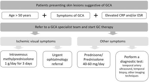 Figure 4 Diagnostic work-up and management of patients with suspected giant cell arteritis presenting with cutaneous lesions.
