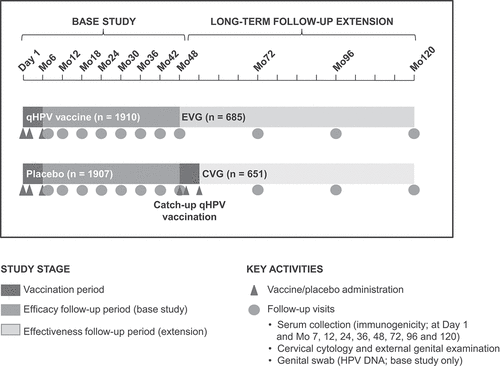 Figure 1. Study design of FUTURE III LTFU. Catch-up vaccination was approximately 5 years after base study Day 1. Participant numbers (n) for the base study and LTFU period refer to participants vaccinated and entering LTFU, respectively (women aged 24–45 years).
