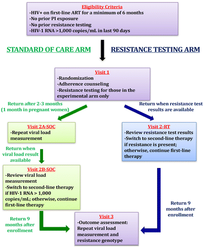 Figure 2 Study schema