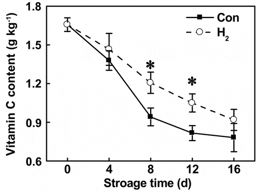 Figure 5. Time-course analysis revealed that the decreases in vitamin C were slowed down by H2 administration. Asterisk denotes significant difference at P < .05 according to t-test