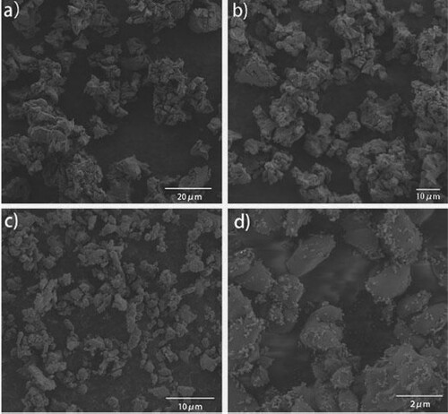 Figure 1. Scanning electron microscopy of eggshell and nano-ZnO loaded on egg shell.