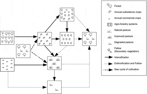 Figure 8. Examples of Land Use succession.