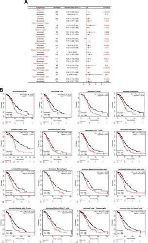 Figure 9 Kaplan-Meier survival curves according to high and low level of SCNN1A in different immune cell subgroups in OV patients. (A) The forest plot reveals the prognostic value of SCNN1A level based on various immune cell subgroups. (B) Association between SCNN1A expression and OS in various immune cell subgroups.