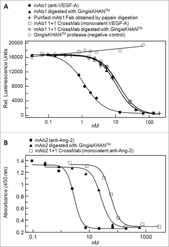 Figure 6. (A) Inhibition of the binding of soluble dimeric vascular endothelial growth factor A (VEGF-A) to its receptor by the intact monoclonal bivalent antibody mAb1 (EC50 = 1.2 nM), mAb1 digested with GingisKHAN™ (EC50 = 10.3 nM), a purified mAb1 Fab obtained by an in-solution papain digest (EC50 = 10.4 nM), an intact (EC50 = 12.1 nM) and GingisKHAN™-digested (EC50 = 12.5 nM) bispecific VEGF-A-monovalent mAb1 derived 1+1 CrossMab, and the GingisKHAN™ protease alone (negative control), as measured by a VEGF-A-specific reporter gene assay. (B) Inhibition of the binding of multimeric angiopoitin-2 (Ang-2) to the tyrosine kinase receptor (Tie-2) by the intact monoclonal antibody mAb2 (EC50 = 3.0 nM), mAb2 digested with GingisKHAN™ (EC50 = 36 nM), and a bispecific Ang-2 monovalent mAb2 derived 1+1 CrossMab (EC50 = 57 nM), as measured by a cell-based Tie-2 receptor phosphorylation assay.