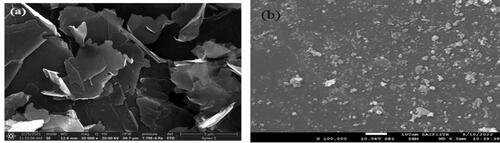 Figure 2. FESEM images of (a) graphene nano platelets and (b) B4C nano materials.