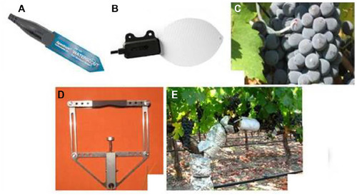 Figure 4 Some sensors employed in wireless sensor networks for proximal sensing in vineyards.