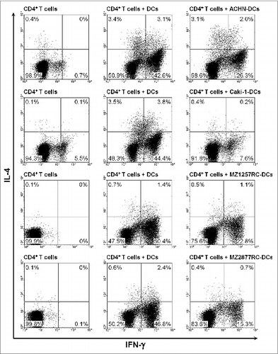 Figure 7. ccRCC cells impair slanDC-mediated differentiation of naive CD4+ T cells into Th1 cells. ccRCC cell-pretreated slanDCs were co-cultured with naive CD4+ T cells in the presence of LPS. Thereafter, the percentage of IFNγ- and IL-4-producing CD4+ T cells was determined by flow cytometry. The results of one representative donor out of four performed with similar results are depicted.