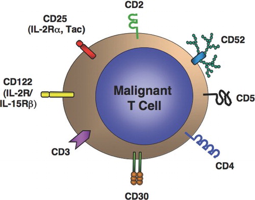 FIG. 1 Target antigens for receptor-directed therapy of T-cell leukemias and lymphomas.