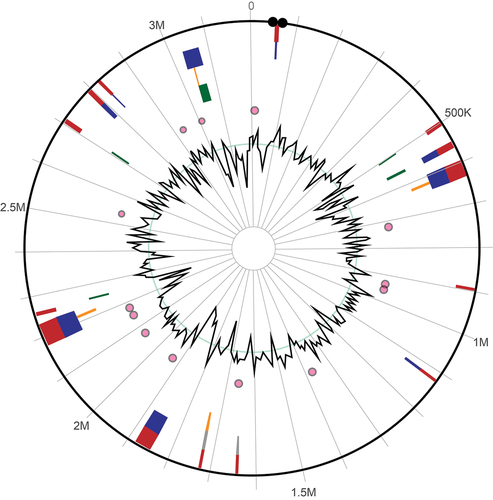 Figure 2. Genome islands of L. plantarum 13–3 predicted by IslandViewer4.
