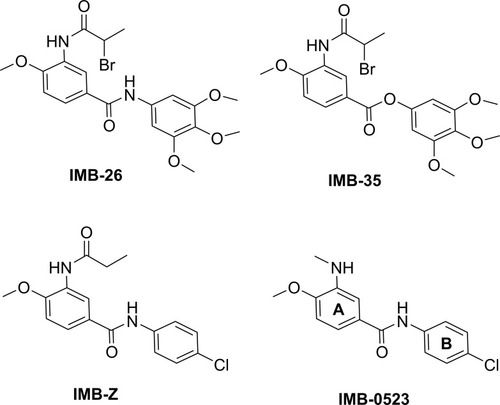 Figure 1 The structures of N-phenylbenzamide derivatives IMB-26, IMB-35, IMB-Z, and IMB-0523.