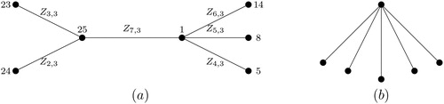 Figure 3. (a) T1,(b) T2.