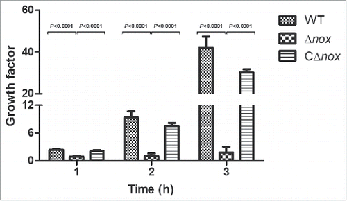 Figure 5. Growth factors of the WT, Δnox and CΔnox strains in mouse blood. The WT, Δnox and CΔnox strains were adjusted to 1 × 105 CFU/mL. Bacterial suspensions (50 μL) were combined with fresh whole blood (450 μL), and the mixtures were incubated at 37°C for 3 h with end-to-end rotation. The growth factor was defined as the ratio of CFU in each sample after incubation over the CFU in the corresponding inoculum. The data shown are means with standard deviations for the results from 3 independent experiments carried out in duplicate. The two-tailed unpaired t test was used for statistical analysis. Significant differences were observed at 1, 2 and 3 h between the Δnox group and the WT group, and between the Δnox group and the CΔnox group (P < 0.0001).