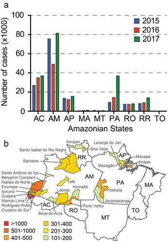 Figure 2. (a) Number of malaria cases in the Brazilian Amazonian States in 2015 (blue bars) and 2016 (red bars) and 2017 (green bars). (b) P. falciparum cases in municipalities of the Amazonian States. The mean number of cases in 2015 and 2016 is depicted with colour coding explained in the key. Municipalities with over 100 average cases are shown. AC, Acre; AM, Amazonas; AP, Amapá; MA, Maranhão; MT, Mato Grosso; PA, Pará; RO, Rondônia; RR, Roraima; TO, Tocantins.