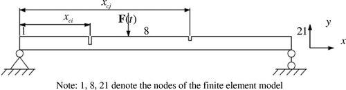 Figure 1. A simply supported beam with cracks (1, 8, 21: Nodes of the finite element).