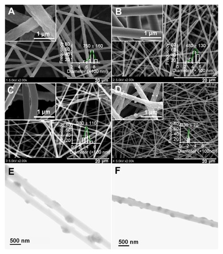 Figure 3 SEM images of PAN nanofibers prepared using different processes: (A) surface morphologies and diameter distribution of nanofibers F1 from single fluid electrospinning; (B) surface morphologies and diameter distribution of nanofibers F2 from a modified coaxial process with only DMAc as sheath fluid; (C and D) surface morphologies and diameter distribution of nanofibers F3 and F4 from a modified coaxial process with AgNO3 solution as sheath fluid, respectively. The scale bars in the insets of (C and D) represent 500 nm. (E and F) are TEM images of nanofibers F3 and F4, respectively.Abbreviations: AgNO3, silver nitrate; DMAc, N,N-dimethylacetamide; PAN, polyacrylonitrile; SEM, scanning electron microscopy; TEM, transmission electron microscopy.