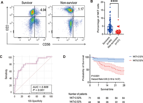 Figure 2 The percentage of NKT cells was associated with 28-day mortality of sepsis. (A) Representative flow cytometry graphs of NKT cells. (B) Percentage of NKT cells between 28-day non-survivors (n=31) and 28-day survivors (n=84). (C) ROC analysis of the percentage of NKT cells predicting 28-day mortality in septic patients. (D) Kaplan-Meier analysis of survival probability in septic patients with a percentage of NKT cells >2.52% vs ≤2.52%. ****p<0.0001.