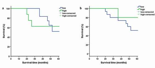 Figure 4. Kaplan-Meier survival plots for high vs. low expression of ZO-1(4a) and E-cad (4b) in OSCC patients.