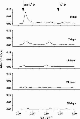 Fig. 3. Bacterial degradation of the total EPS released by Cryptomonas tetrapyrenoidosa measured by gel filtration column chromatography (Pharmacia™ CL6B). Arrows indicate standard dextrans employed to calibrate column: 2 × 106 and 104 D.
