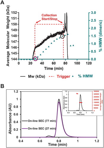 Figure 3. On-line UHP-SEC-µMALS data correlates well with the real time Mw data from in-line MALS.a) Real time molecular weight (—) shown previously is rescaled to show the increase in Mw of ~ 2750 Da. The HMW content (▲) increases by 1.5% over the course of the purification as determined by on-line UHP-SEC-µMALS. b) On-line UHP-SEC chromatograms of the samples at the start and stop trigger points showed an increase in aggregate content of 1.5%. On-line UHP-SEC-µMALS data confirmed the HMW content to be dimeric (inset). The 1.5% dimeric content correlates to a Mw increase of mAb by ~ 2250 Da. The real time data showed an increase of ~ 2750 Da and is within 0.5% dimeric content of the on-line UHP-SEC-µMALS data.