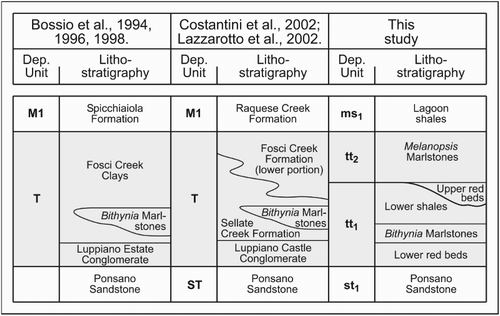 Figure 3. Comparative stratigraphic frameworks for the non-marine facies of the south-eastern Volterra Basin (highlighted in gray). The relative positions of the stratigraphic units and boundaries derive from geometric relationships, and do not represent time lines. The framework adopted in this research follows the schemes of CitationIelpi and Cornamusini (2012) and CitationIelpi (2013).