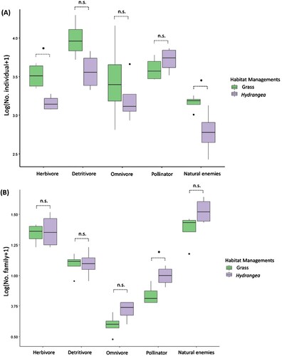 Figure 7. Abundance (A) and richness (family-level) (B) of arthropods based on ecological role in crab apple orchards with different habitats management. To achieve normal distribution, data of abundance and richness were transformed to log (x + 1). Above each boxplot, n.s. indicate no significance and [*] indicate level differences (ANOVA, p < 0.05). Bars represent the interquartile range with the median value. Dots indicate outliers. Vertical solid lines indicate the minimum and maximum values.