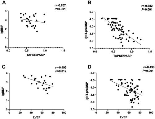 Figure 2. Both TAPSE/PASP ratios and LVEF negatively correlated with BNP and NT-proBNP.