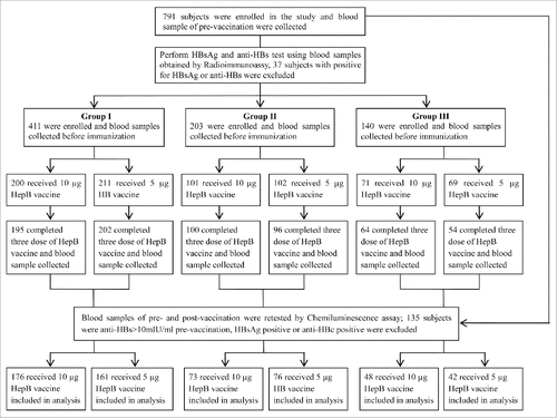 Figure 1. Flow chart of the subjects enrolled in the study. Abbreviations: HepB, hepatitis B; HBsAg, HepB surface antigen; anti-HBc, HepB core antibody; anti-HBs, HB surface antibody; Group I, subjects age 5–14 y; Group II, subjects ages 15–24 y old; Group III, subjects age ≥ 25 y.