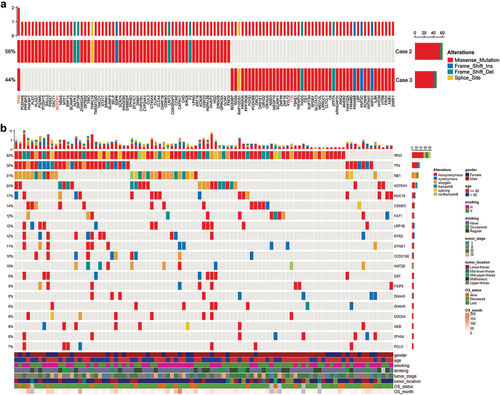 Figure 4. Gene mutation features in the SCCE patients. (a) Gene mutation in two SCCE cases. (b) Landscape of top 20 gene alterations in the previous data from the Feng Wang’s team and the Renda Li’s team.