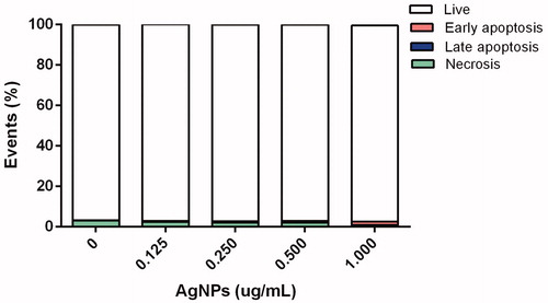Figure 3. Cell death modality among BMDC incubated 12 h with AgNP. Percentages of live, early apoptotic, late apoptotic, and necrotic cells were assessed using FITC-Annexin V\propidium iodide (PI) staining and flow cytometry.