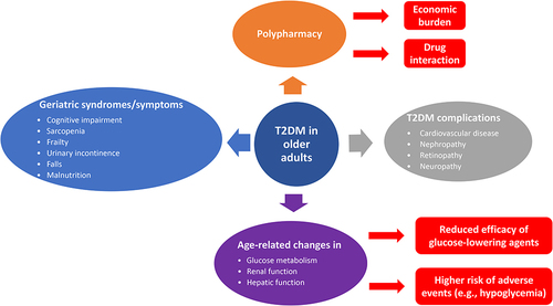 Figure 1 Challenges in the management of type 2 diabetes mellitus (T2DM) in older adults.