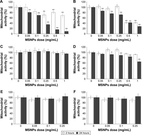 Figure 2 Effect of MSNP treatment on mitochondrial activity assessed by MTT assay.Notes: HUVECs (A, B) and HCMEC (C, D) and SKNSH cell lines (E, F) were incubated with different concentrations, ranging from 0.05 to 1 mg/mL of MSNPs of 250 nm (A, C, E) or 30 nm (B, D, F) for 2 and 24 hours. Mitochondrial activity was evaluated by MTT. Results reported as percentages, using untreated cells as a control. Data reported as mean ± standard error of mean of triplicate experiments. Results were compared by Student’s t-test. *P<0.05; **P<0.01; 0 dose of MSNPs indicates untreated cells.Abbreviations: MSNP, mesoporous silica nanoparticle; HUVECs, human umbilical vein endothelial cells.