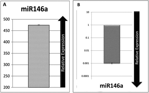 Figure 1. (A) Quantification of ectopic miR-146a expression in transduced Jurkat cells in comparison with group transduced by the backbone of the vector. (B) Relative expression of miR-146a in non-transduced Jurkat in compared with normal PB-MNC, which show marked down-regulation in none transduced Jurkat cells.