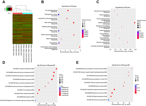 Figure 3 Microarray analysis of genes relative expression changes.