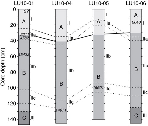 Fig. 8  Biostratigraphic correlations among the cores (solid lines). Assemblage Zones (A, B and C; shades of grey), lithological units (I, II and III; dashed lines) and subunits (IIa, IIb, and IIc; dotted lines) are marked. Ages (Ky B.P.) are also indicated.