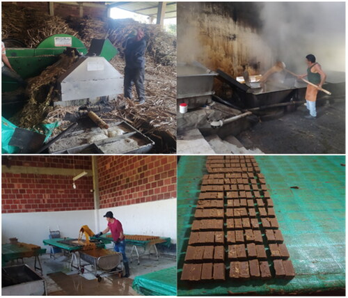 Figure 2. Panela production process in the Trapiche under study.Source: own elaboration.